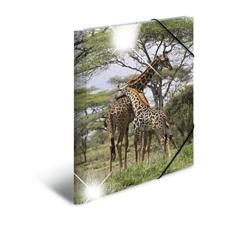 HERMA Sammelmappen A3 Giraffe Set, 3 Stück, Kinder Eckspanner-Mappen aus Kunststoff mit Tier Motiv, Hochglanz-Optik, Gummizug, Innenklappen und Innendruck für Jungen und Mädchen von HERMA