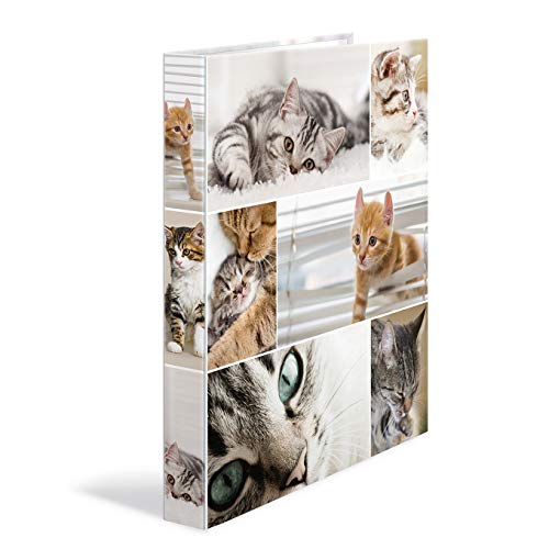 HERMA Ringbücher A4 Katzen Set, 3 Stück, schmal, 2 Ringe, 35 mm breit, Kinder Ringordner mit Tier Motiv, bunter Ordner mit Innendruck für Jungen und Mädchen von HERMA