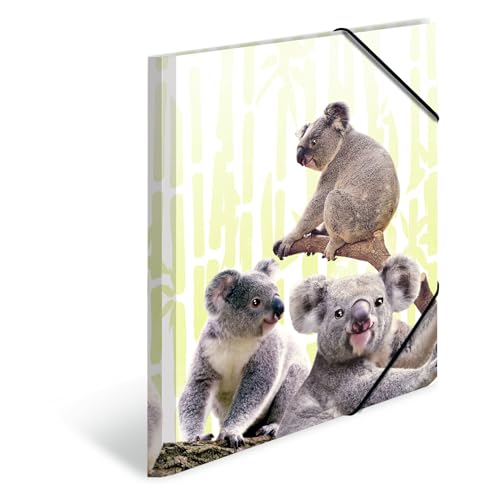 HERMA Sammelmappen A4 Koala Set, 3 Stück, Kinder Eckspanner-Mappen aus Kunststoff mit Tier Motiv, Gummizug, Innenklappen und Innendruck für Jungen und Mädchen von HERMA