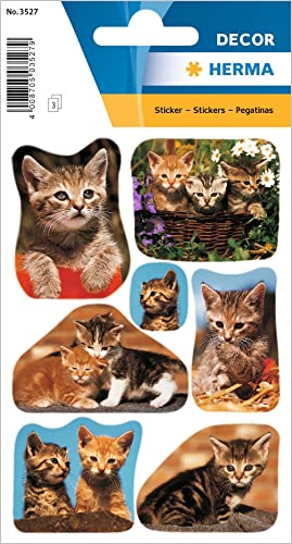 HERMA 3527 Tiere Sticker, Katzenfotos (21 Aufkleber, Papier, matt) selbstklebend, permanent haftende Motiv Etiketten für Mädchen und Jungen, bunt von HERMA
