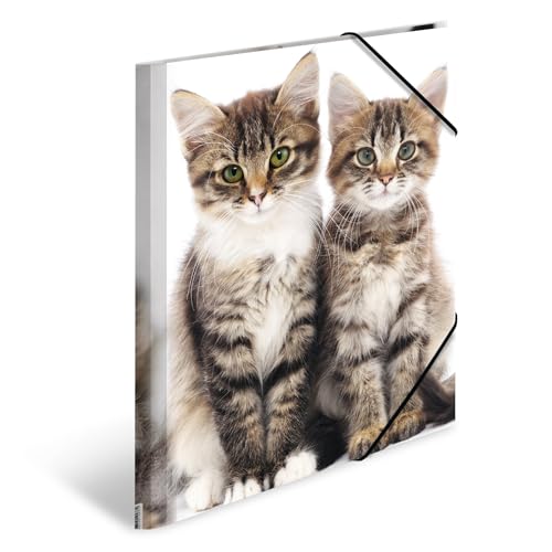 HERMA Sammelmappen A4 Katzen Set, 3 Stück, Kinder Eckspanner-Mappen aus Kunststoff mit Tier Motiv, Gummizug, Innenklappen und Innendruck für Jungen und Mädchen von HERMA