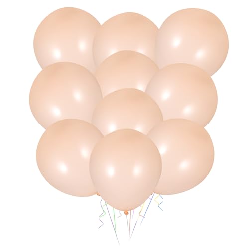 HIAKDOFT 10 Stück Runder Latexballon Willkommensballons Verlobungsballons Pastell Große Luftballons Ballongirlande Sortiert Ballondekorationen Hochzeitsdekor Orange Emulsion HIAKDOFT 10 Stück Runder Latexballon Willkommensballons Verlobungsballons Pastell Große Luftballons Ballongirlande Sortiert Ballondekorationen Hochzeitsdekor Orange Emulsion von HIAKDOFT