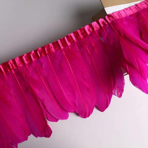 Party Hochzeitskleid Nähen Basteln Kostüme Federn 10 Meter Gänsefeder-Fransenband, Bastelzubehör, weiße Schwanenfedern, Borten, Karneval, Plumas, Kleid-Dekoration(Hot Pink) von HIFRQVVC