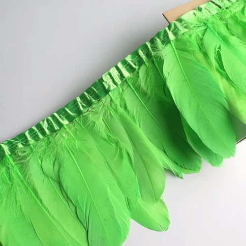 Party Hochzeitskleid Nähen Basteln Kostüme Federn 10 Meter Gänsefeder-Fransenband, Bastelzubehör, weiße Schwanenfedern, Borten, Karneval, Plumas, Kleid-Dekoration(Light Green) von HIFRQVVC