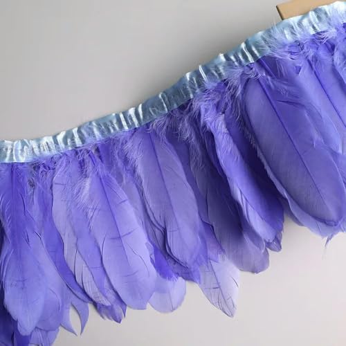 Party Hochzeitskleid Nähen Basteln Kostüme Federn 10 Meter Gänsefeder-Fransenband, Bastelzubehör, weiße Schwanenfedern, Borten, Karneval, Plumas, Kleid-Dekoration(Light Sky Blue) von HIFRQVVC