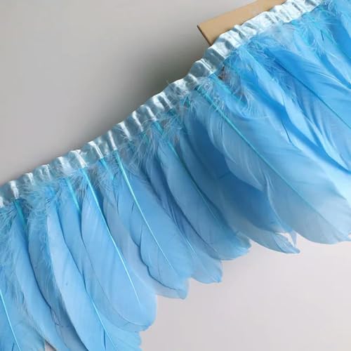 Party Hochzeitskleid Nähen Basteln Kostüme Federn 10 Meter Gänsefeder-Fransenband, Bastelzubehör, weiße Schwanenfedern, Borten, Karneval, Plumas, Kleid-Dekoration(Sky Blue) von HIFRQVVC