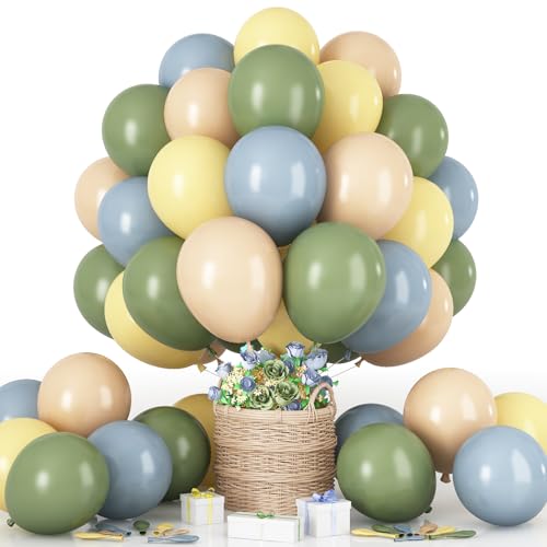 Luftballon Salbeigrün Gelb Blau, 60 Stück 12 Zoll Retro Sage Grün Macaron Pastell Gelb Weiß Sand Beige Dusty Blau Latex Helium Ballon für Geburtstag Party Deko Bee Babyparty Hochzeit Dekorations von HILAVO