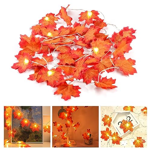 HIULLEN Herbst Lichterkette, 6M 40 LED Ahornblätter Lichterketten Herbst Dekoration, Herbst Blättergirlande mit LED, Ahornblatt Lichterketten für Party Halloween, Erntedankfest, herbstdeko von HIULLEN