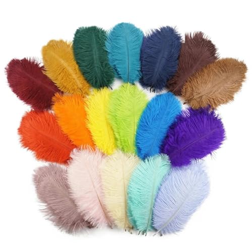 10 Stück bunte Federn, Bastelzubehör, Traumfänger, Dekoration, Schmuckherstellung, Tafelaufsatz, zufällige Farbmischung, 30–35 cm, 12–14 Zoll von HJGUI