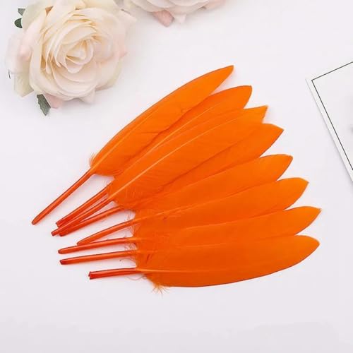 20/100 Stück Federn DIY Federn zur Schmuckherstellung Heimdekoration Bastelzubehör 10-15CM-Orange Federn-20 Stück von HJGUI