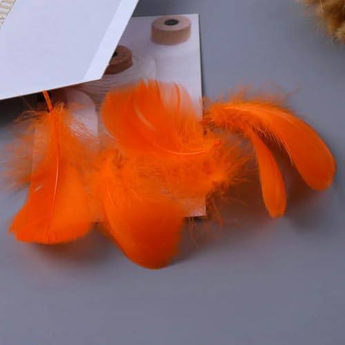 2000 Stück 4–7 cm 7–12 cm kleine schwimmende Feder zum Basteln von Schmuck, Heimdekoration, Orange, 7–12 cm, 2000 Stück von HJGUI