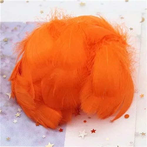 Federn, 4–8 cm, kleine schwimmende Federn zum Basteln, Schmuck, Heimdekoration, 100 Stück, Orange Rot, 100 Stück von HJGUI