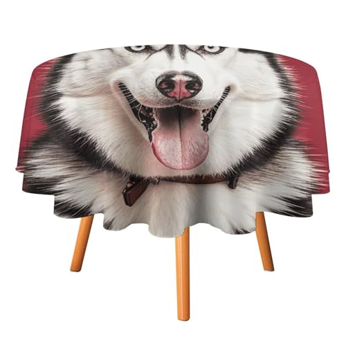 HJKBCV Tischdecke, wasserdicht, 300D-Polyester, Husky-Tischdecken für Küche, knitterfrei, Tischdecken für Esstisch, für den Außenbereich von HJKBCV