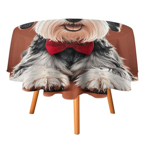 HJKBCV Tischdecke, wasserdicht, 300D-Polyester, Öl-Tischdecke, niedliche Schnauzer-Hunde, Tischdecke für Küche, knitterfrei, Tischdecken für Esstisch, für den Außenbereich von HJKBCV