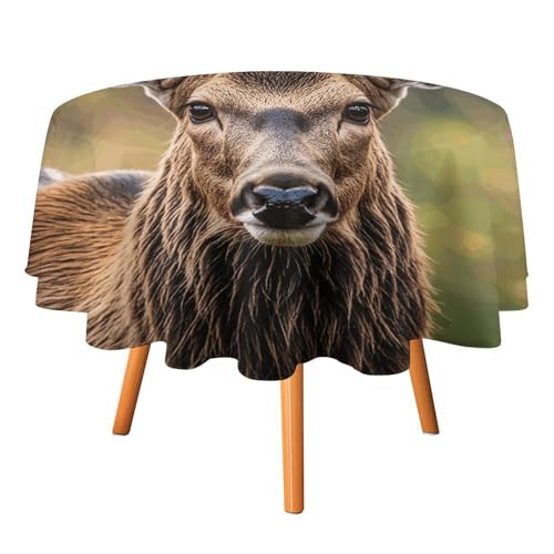 HJKBCV Tischdecke, wasserdicht, 300D-Polyester, Tischdecke, Wildtiere, Hirsch, Bär, Elch, Tischdecke für Küche, knitterfrei, Tischdecken für Esstisch, für den Außenbereich von HJKBCV