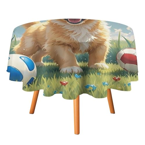 HJKBCV Tischdecke, wasserdicht, 300D-Polyester, Tischdecke für Rasen und Hund, knitterfrei, Tischdecken für Esstisch, für den Außenbereich von HJKBCV