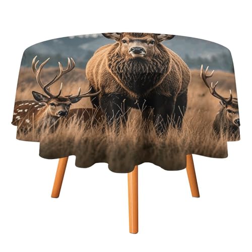 HJKBCV Tischdecke, wasserdicht, 300D-Polyester, Tischdecke für Wildtiere, Jagd, Hirsch, Bär, Elch, Tischdecke für Küche, knitterfrei, Tischdecken für Esstisch, für den Außenbereich von HJKBCV