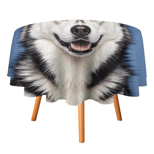 HJKBCV Tischdecke, wasserdicht, 300D-Polyester, Tischdecke mit Husky, für Küche, knitterfrei, Tischdecken für Esstisch, für den Außenbereich von HJKBCV