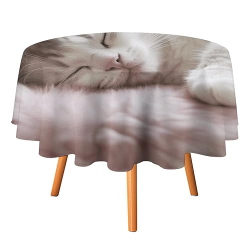 HJKBCV Tischdecke, wasserdicht, 300D-Polyester, Tischdecke mit schlafender Katze, für Küche, knitterfrei, Tischdecken für Esstisch, für den Außenbereich von HJKBCV