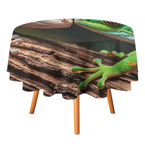 HJKBCV Tischdecke, wasserdicht, 300D-Polyester, Tischdecke mit zwei Geckos, für Küche, knitterfrei, Tischdecken für Esstisch, für den Außenbereich von HJKBCV