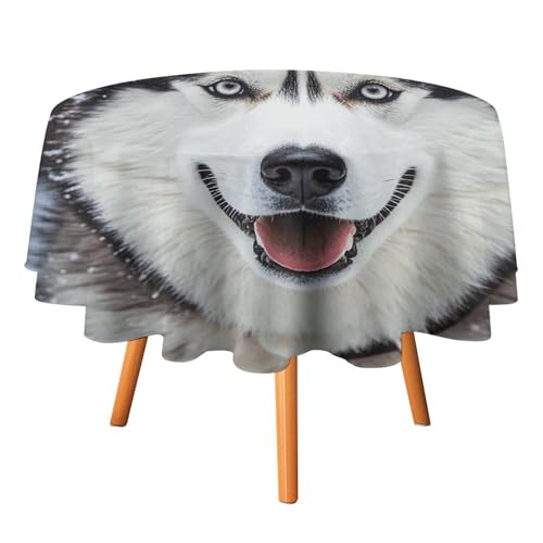 Tischdecke, wasserdicht, 300D-Polyester, schöne Husky-Tischdecken für Küche, knitterfrei, Tischdecken für Esstisch, für den Außenbereich von HJKBCV