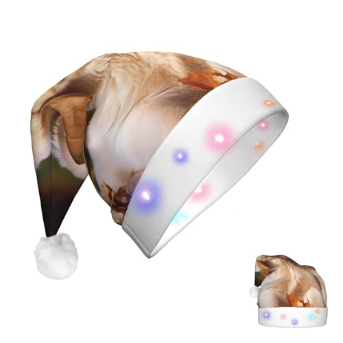 Weihnachtsmütze mit LED-beleuchteter Weihnachtsmannmütze für Erwachsene, Plüschmütze, Golden Retriever, Hunde, Welpen, Haustiere, Unisex, Urlaubsmütze für Neujahrsparty von HJRT