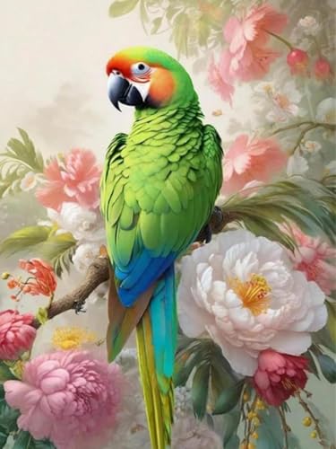 HKFLD 5D Diamond Painting Kits DIY Diamond Art Canvas Crystal Crafts Painting Pictures for Adults Kids Home Wall Decor Parrot Bird 50 * 60cm von HKFLD