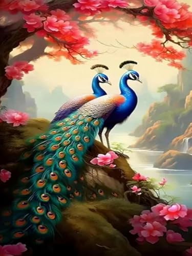 HKFLD 5D Diamond Painting Kits DIY Diamond Art Canvas Crystal Crafts Painting Pictures for Adults Kids Home Wall Decor Two Peacocks 30 * 40cm von HKFLD