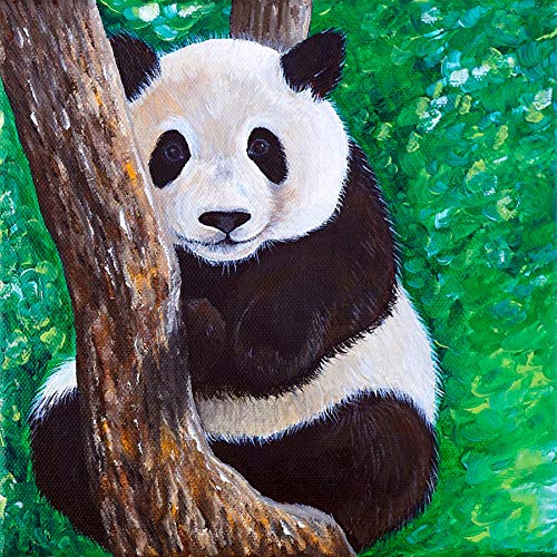 HKFLD 5D Diamond Painting Kits Panda Round Full Drill, Animal Paint with Diamonds Art DIY Rhinestone Embroidery Home Wall Decor 40 * 50cm von HKFLD