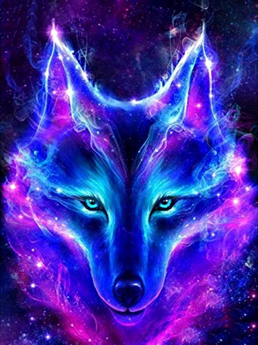 HKFLD Diamond Painting 5D Diamant Painting Wolf DIY Diamantmalerei Kit für Haushaltswanddekoration 30 * 40cm von HKFLD