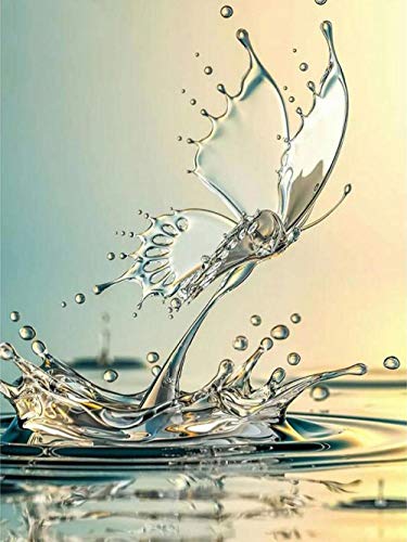 HKFLD Diamond Painting Pictures Water Butterfly DIY Diamond Painting Kit for Household Wall Decoration Frameless30*40cm von HKFLD