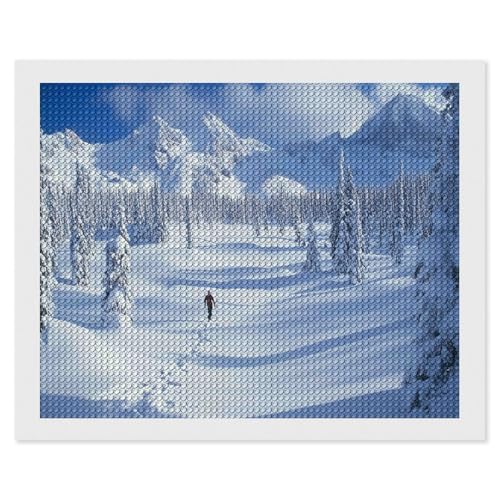 HKFLD Snowfield，5D Diamond Carft Painting Kits for Adults Beginners Round DIY Painting Art Home Decor 30x40cm von HKFLD