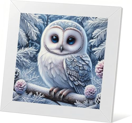 HKLIOPU 5D Diamond Painting Kit Kristall Strass Stickerei Eule Design Diamant Kunst Kit 30x30cm von HKLIOPU