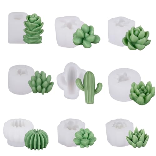 9/10pcs 3d Sukkulente Silikonformen Für Kerzenherstellung Und Epoxidharzen Art Realistic Cactus Designs Gussformen von HLBEST