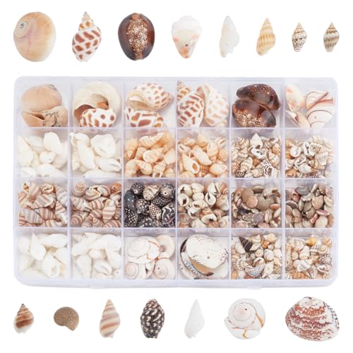 HOBBIESAY 150g Natürliche Muschelperlen 15 Stile Spiralmuschelperlen Ozeanspirale Muscheln Miniaturmuscheln Für Halsketten Armbänder Ohrringe Schmuckherstellung DIY Handwerk von HOBBIESAY