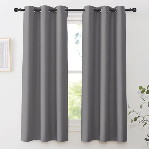 HOKXUAN Gardinen Blickdichte 115 x 210 cm Dicke Thermogardine Kälteschutz Warm Verdunkelung Fenstervorhang 2Er Set für Wohnzimmer Kinderzimmer, Hellgrau von HOKXUAN