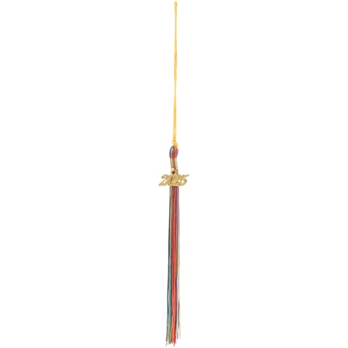 HOLIDYOYO Abschluss Tassels Akademische Abschlusskapitelle Quasten Mit 2025 Gold Charme Für Absolventen Hat Ceremonies Accessoires Multi 2 von HOLIDYOYO