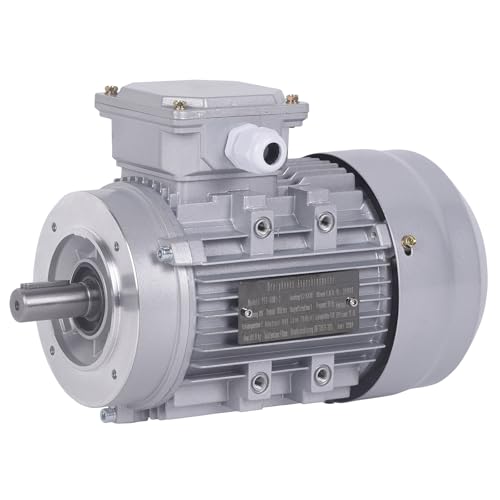 HOMIZEN Elektromotor Drehstrom 0.75KW 2830RPM Welle 19mm 380V Kompressormotor Drei Phase Asynchronmotor von HOMIZEN