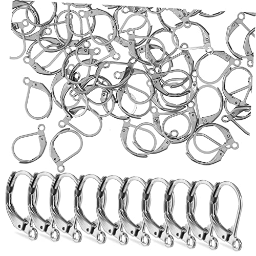 HOODANCOS 3 Sätze Französische Ohrhaken Mit Hebelverschluss Ohrhaken Selber Machen Silberschmuck Hebel Zurück Ohrhaken Ohrringdrähte Ohrhaken Zum Selbermachen Rostfreier Stahl 100 Stück * 3 von HOODANCOS