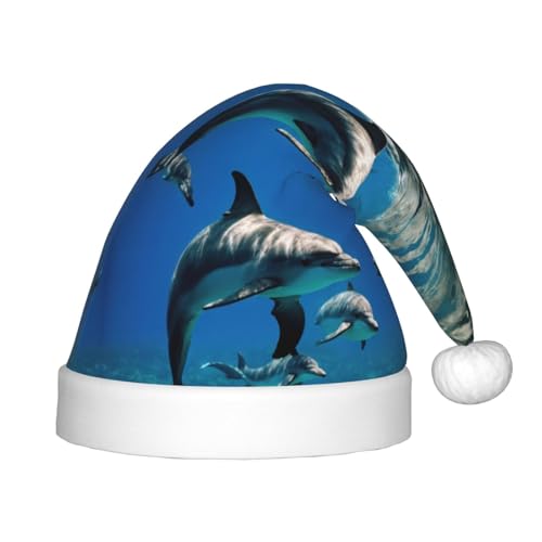 HTTUP Lustige Weihnachtsmütze mit Delfin-Druck, Unisex, Weihnachtsmann-Mütze, Weihnachtsmannmütze, Weihnachtsaccessoires, Geschenk von HTTUP