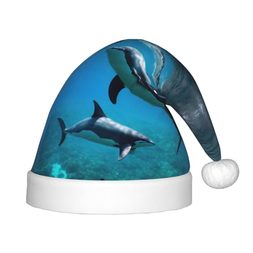 HTTUP Lustige Weihnachtsmütze mit Delfin-Druck, Unisex, Weihnachtsmann-Mütze, Weihnachtsmannmütze, Weihnachtsaccessoires, Geschenk von HTTUP