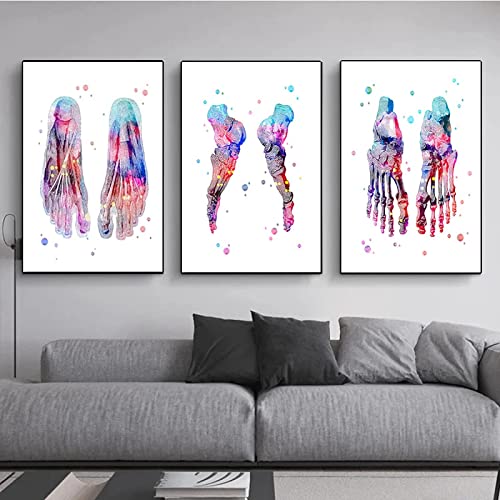 HTWLMM Fuß-Set Skelett Leinwand Malerei Fußknochen Anatomie Medizin Kunstdruck Bilder für Kliniken Krankenhäusern Wandbilder Deko Rahmenlos (3X30X40CM) von HTWLMM