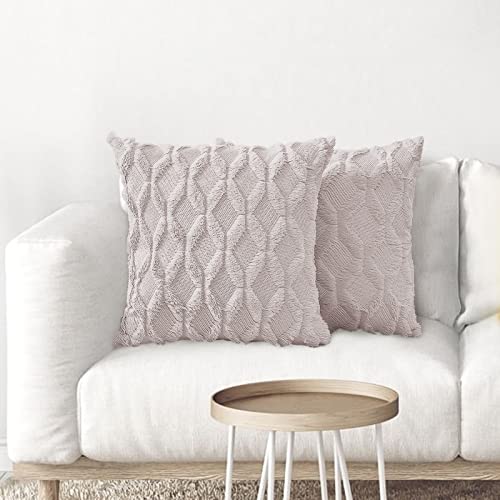 HUIEYE Wolle Zierkissenbezüge,Weich Couchkissen Plüsch Samt Zierkissenbezug Versteckter Reißverschluss Dekokissen 2er Set Sofakissen Luxus Stil Kissenbezug für Wohnzimmer Schlafzimmer 45x45cm,Grau von HUIEYE