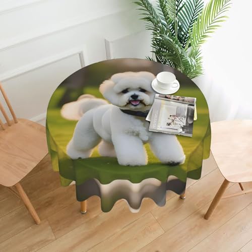 HUIKGIER Bichon Frisé-Hund auf dem Gras, rund, knitterfrei, ölbeständig, Heimdekoration, Partys, Essen, Outdoor-Funktionen von HUIKGIER