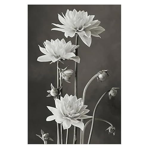 Deko Schlafzimmer Modern Wohnzimmer Deko Modern Wanddeko Küche Bilder Schwarz-weiße Blumen-Leinwand-Poster und Drucke, minimalistisches Gemälde, Wandkunst, Calla-Lilie, dekoratives Bild, Wohnkultur von HUNNY