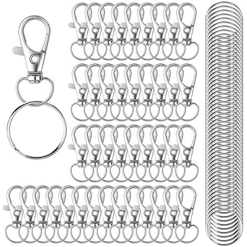 100 Stück Schlüsselring Edelstahl Klein Karabiner Schlüsselanhänger Basteln Selber Machen Ringe Karabinerhaken mit Drehgelenk(Silber) von HXSEMAYIG