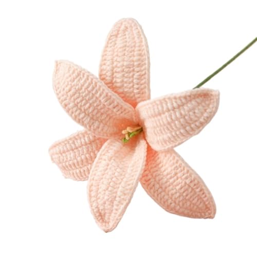 HYBZDKEOP，Gestrickte Blumen，Häkelblumen, Artificial Flowers Hand-Knitted Lily Crochet Flowers Homemade Bouquet Flower Home Desktop Decor(7) von HYBZDKEOP