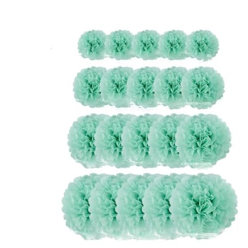 Papier Laterne, Papier pom poms Dekorationen, 20 Stück Pompons aus Seidenpapier, Pompons, Blumenbälle for Hochzeit, Raumdekoration, Partyzubehör, DIY, weiße hängende Papierblumen(Cool mint) von HYQOUKLR