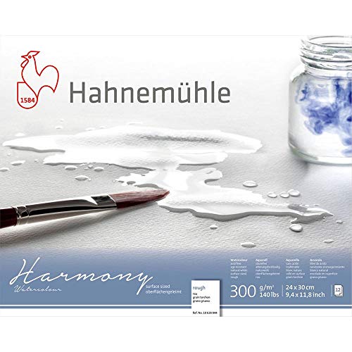 Hahnemühle 10 628 844 Hahnemühle Harmony Rough 24x30 von Hahnemühle