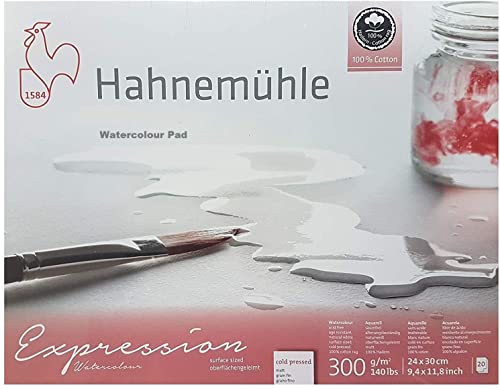 Hahnemühle Expression Aquarellblock, 20 Blatt, 300 g, 24 x 30 cm, 100% Baumwolle, Moulin du Coq Made in Germany von Hahnemühle